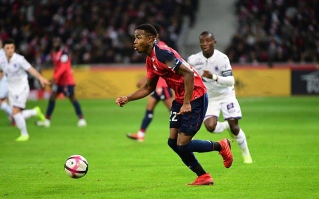 作为一组风 作为一组风